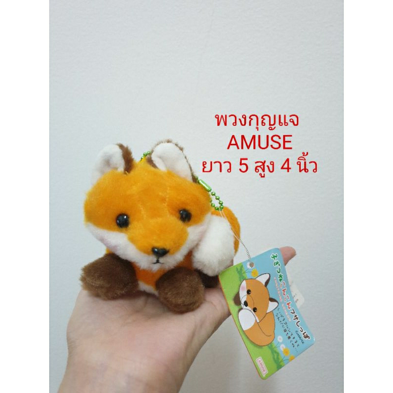 จิ้งจอกญี่ปุ่น  amuse