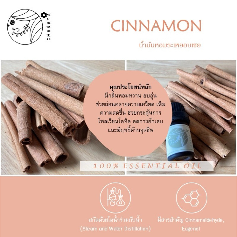 น้ำมันหอมระเหยอบเชย ชานาญา CHANAYA Cinnamon 100% Essential Oil