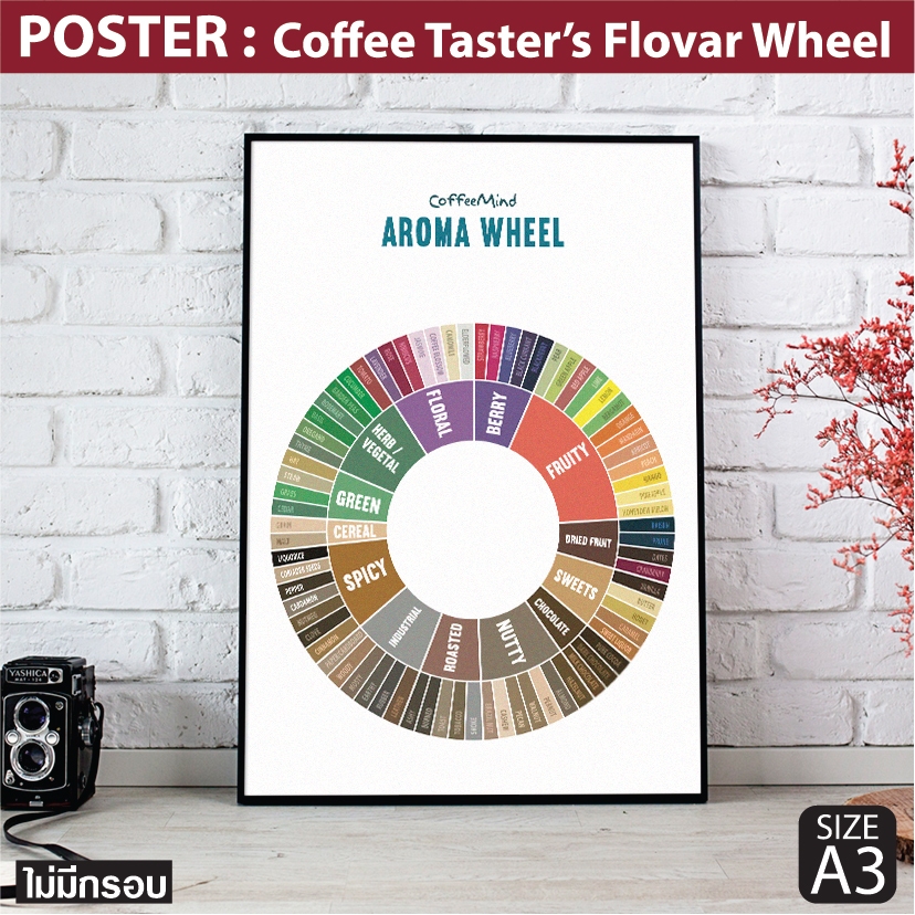 โปสเตอร์กาแฟ Coffee Taster's Flavor Wheel Poster แผนภูมิที่บรรยายรสชาติและกลิ่นของกาแฟ แต่งร้านกาแฟ