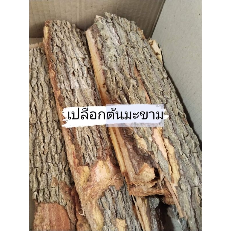 มะขาม ขายเปลือกต้น สด1กิโลกรัม100บาท(สำหรับย้อมผ้าทำยาหรือวิจัย)