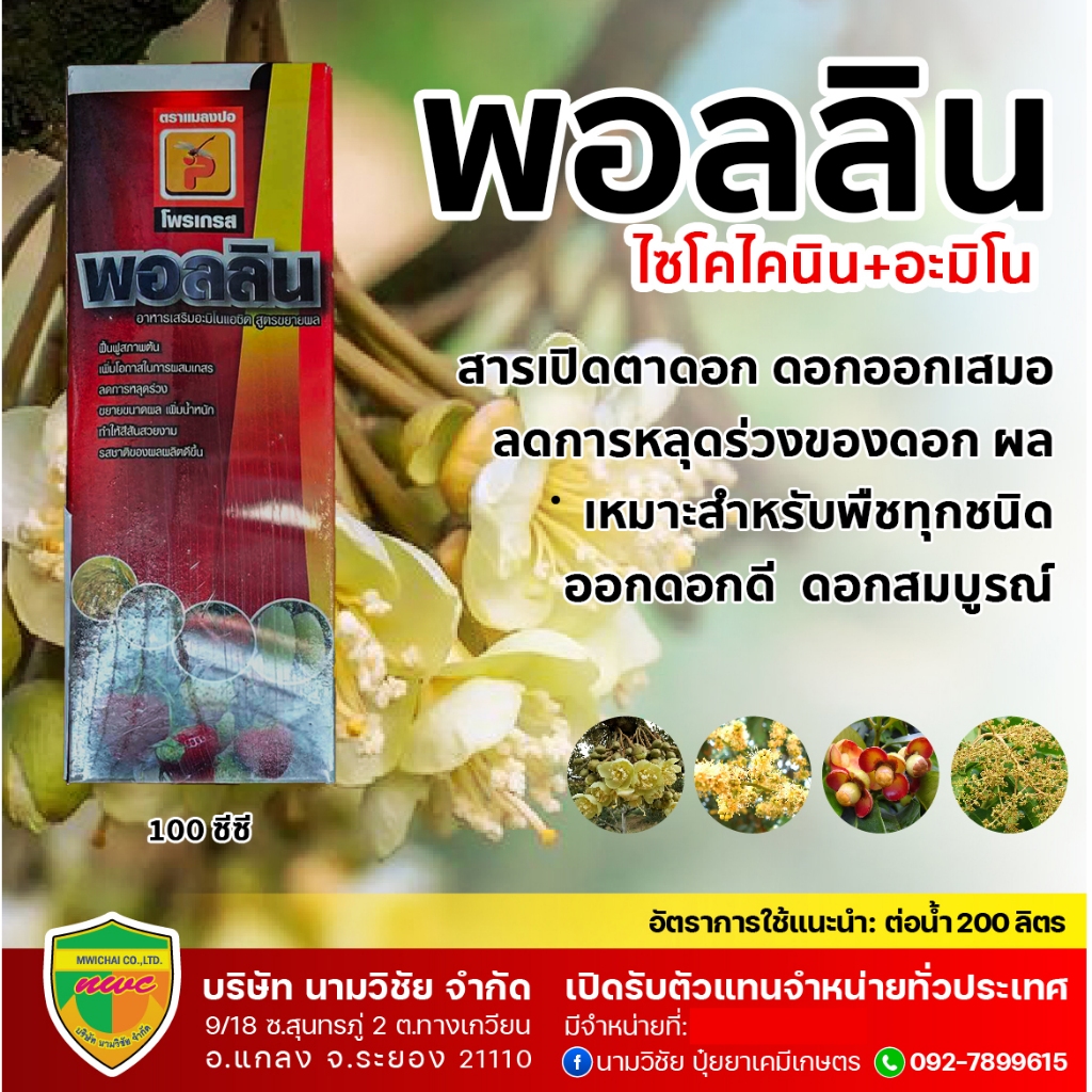 พอลลิน(ไซโตไคนิน+อะมิโนแอซิด) ขนาด 500ซีซี สารเปิดตาดอก เหมาะสำหรับพืชทุกชนิดเปิดตาดอก แตกตาดอก ดอกออกเสมอ ลดการหลุดร่วง