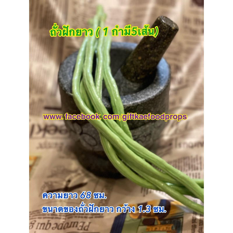 โมเดลถั่วฝักยาว ผักปลอม เหมื่อนจริง ราคา/1กำ(1กำมี 6เส้น)