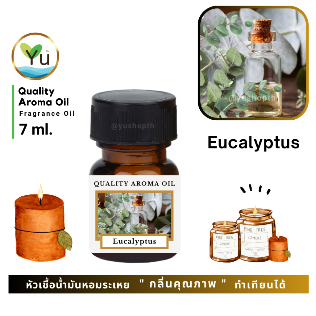 🌟🎁 7 ml. กลิ่น Eucalyptus (ยูคาลิปตัส)🌟หัวเชื้อน้ำมันหอมระเหย กลิ่นคุณภาพ | Quality Aroma Oil 🌟 เลือกกล่องได้ !