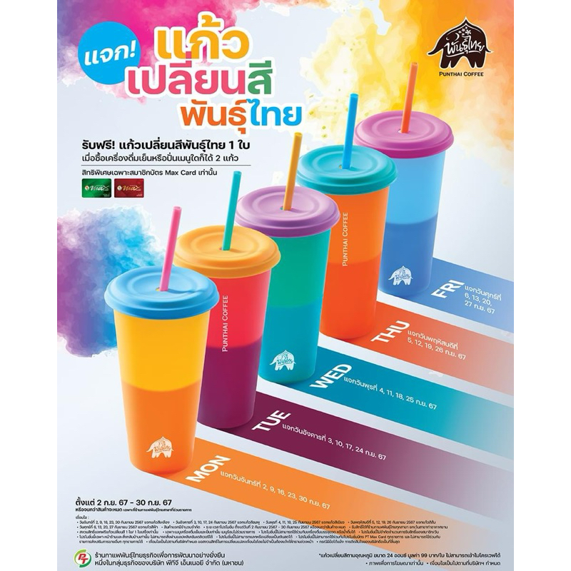 แก้วเปลี่ยนสีพันธุ์ไทย PUNTHAI COFFEE