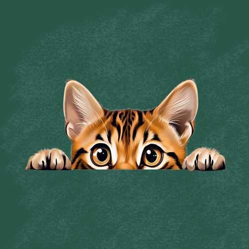 ตัวรีดติดเสื้อ (F.306 )การ์ตูนน้องแมวครึ่งหน้า เซ็ต 2 รีดติดง่ายทุกเนื้อผ้า DIY Patches - รูปที่ 3