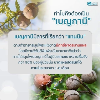 Qi care รักษาแผลเบาหวาน แผลกดทับ