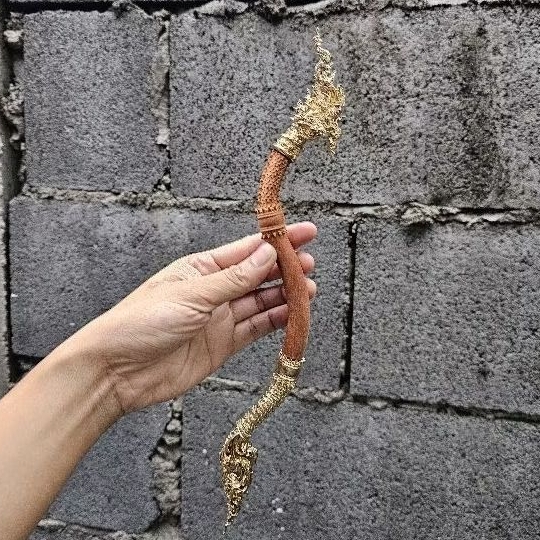 พญานาคเลื้อยหัวท้ายทองเหลือง(ไม้พยูง)