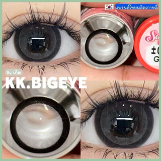 Winkwow-Pitchy Sakura Gray Brown สีเทา~สีน้ำตาล ตาโตขอบหนา หวานเจี๊ยบ สายตาปกติ **ตอนนี้มีPitchylens14.5
