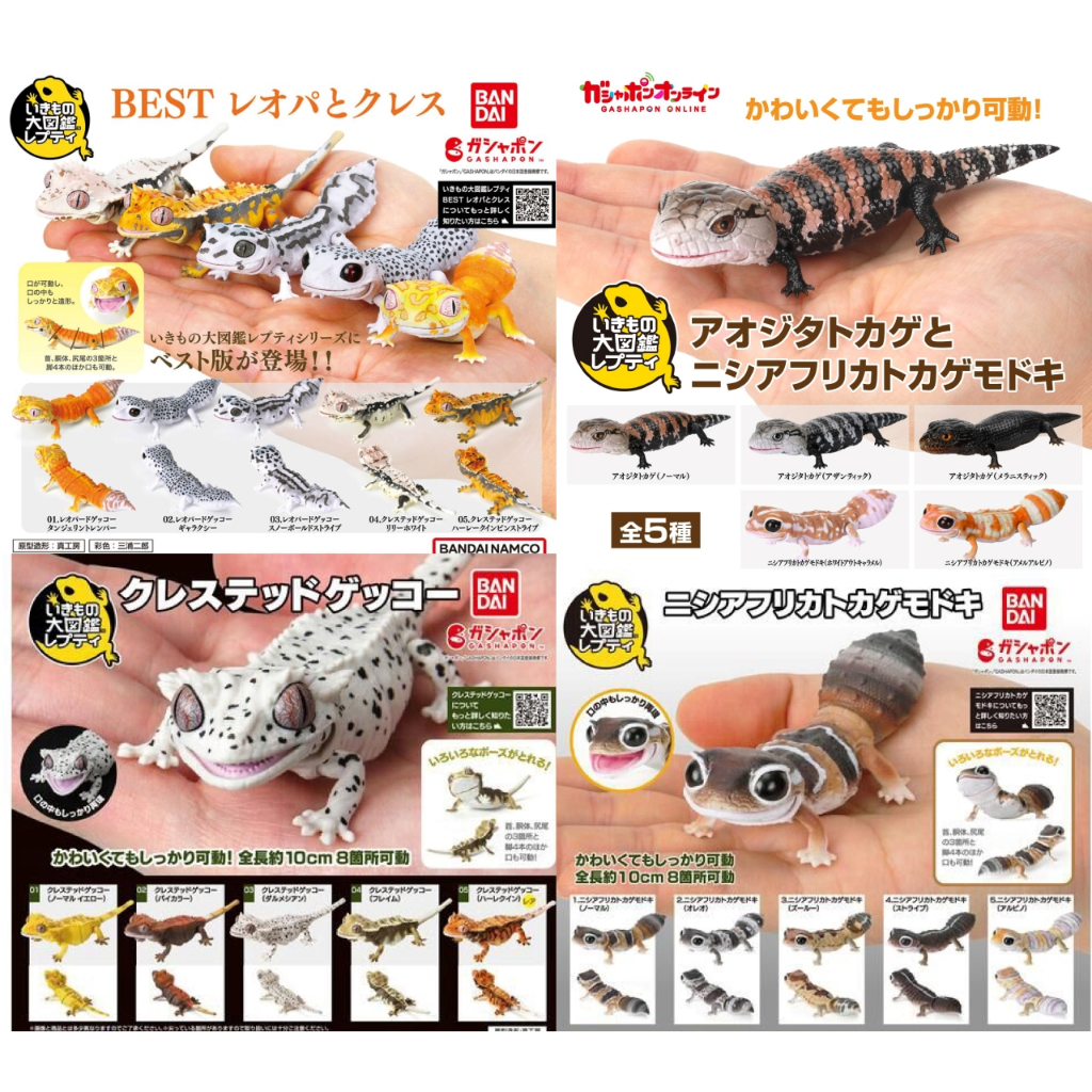 (พร้อมส่ง-ตัวลับ)กาชาปอง โมเดล ตุ๊กแกเสือดาว-หางอ้วน กิ่งก่า งานแท้-หายาก  มีใบปิด bandai Ikimono