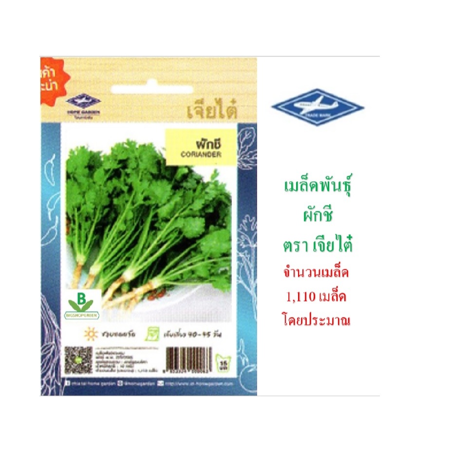 5 ฟรี 1 คละได้ทัั้งร้าน เมล็ดพันธุ์ผักขี เจียไต๋ ขนาด 1,110 เมล็ดโดยประมาณ