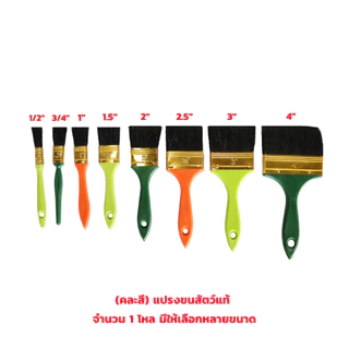 ALLWAYS แปรงทาสี มีหลายขนาดให้เลือก จำนวน 1 โหล (คละสี) No.666 แปรงขนสัตว์แท้ ด้ามพลาสติก อย่างดี ใช้ทาสีน้ำ ทาสีน้ำมัน