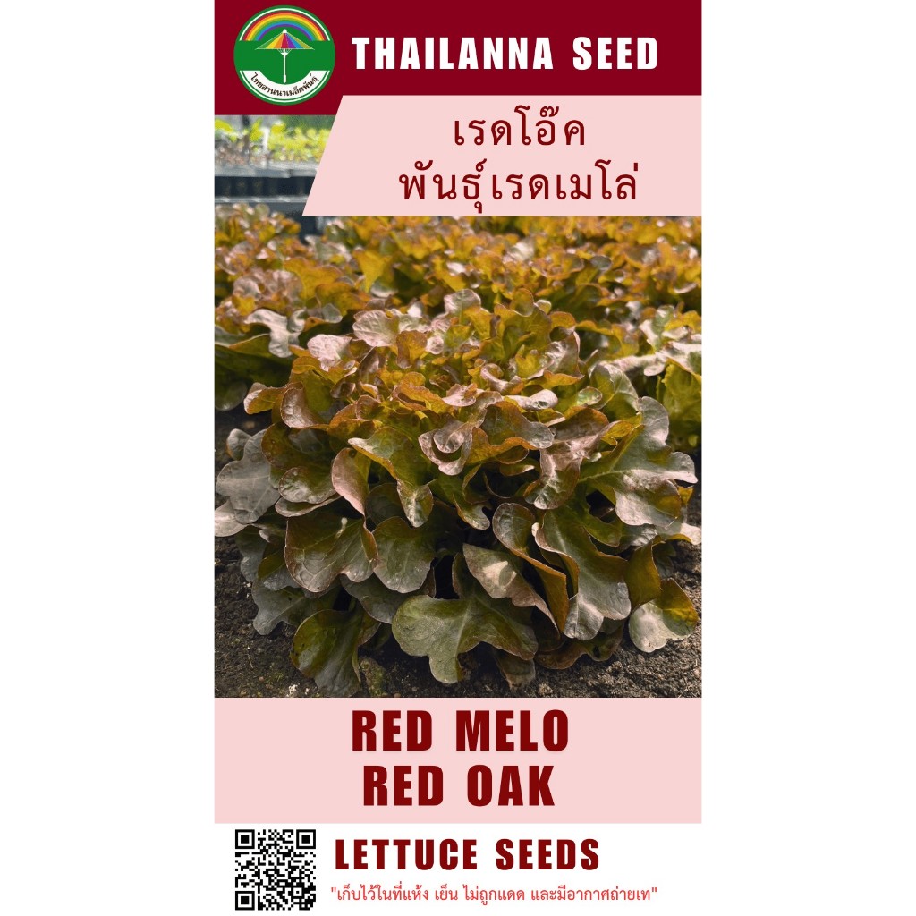 เมล็ดพันธุ์ผักสลัด เรดโอ๊ค พันธุ์เรดเมโล่ ( ขนาด 0.5 กรัม) ( เมล็ดเปลือย ) รหัสสินค้า 3037