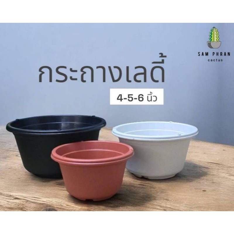 กระถางเลดี้ ทรงกลม มีรูแขวน 4 5 6 นิ้ว กระถางต้นไม้