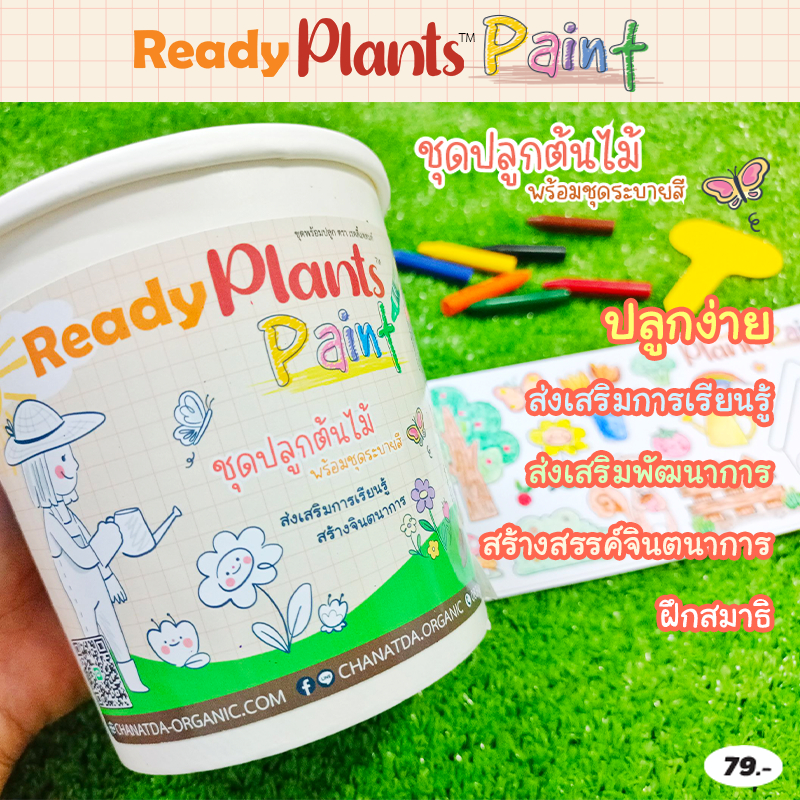 Ready Plants™ Paint ชุดปลูกต้นไม้ พร้อมชุดระบายสีตกแต่งกระถาง | ผักสวนครัว | ผักสลัด | ดอกไม้