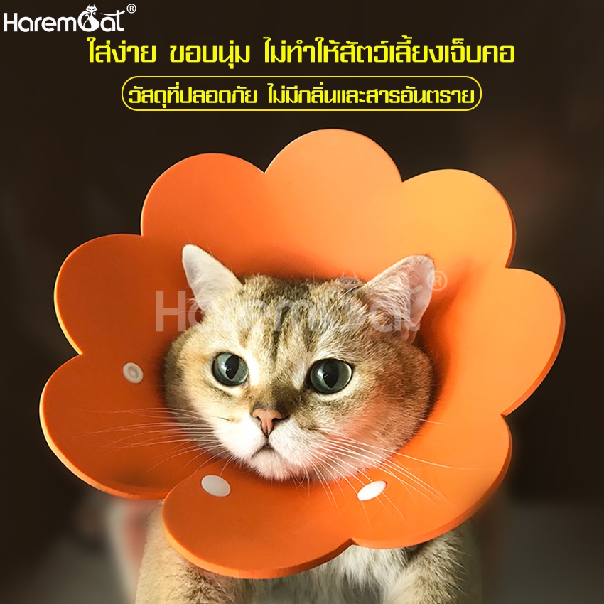 คอลล่าสุนัข คอลล่าแมว ปลอกคอกันเลีย ปลอกคอสัตว์เลี้ยง คอลล่ากันเลีย รูปทรงดอกไม้ มี 5 สีให้เลือก