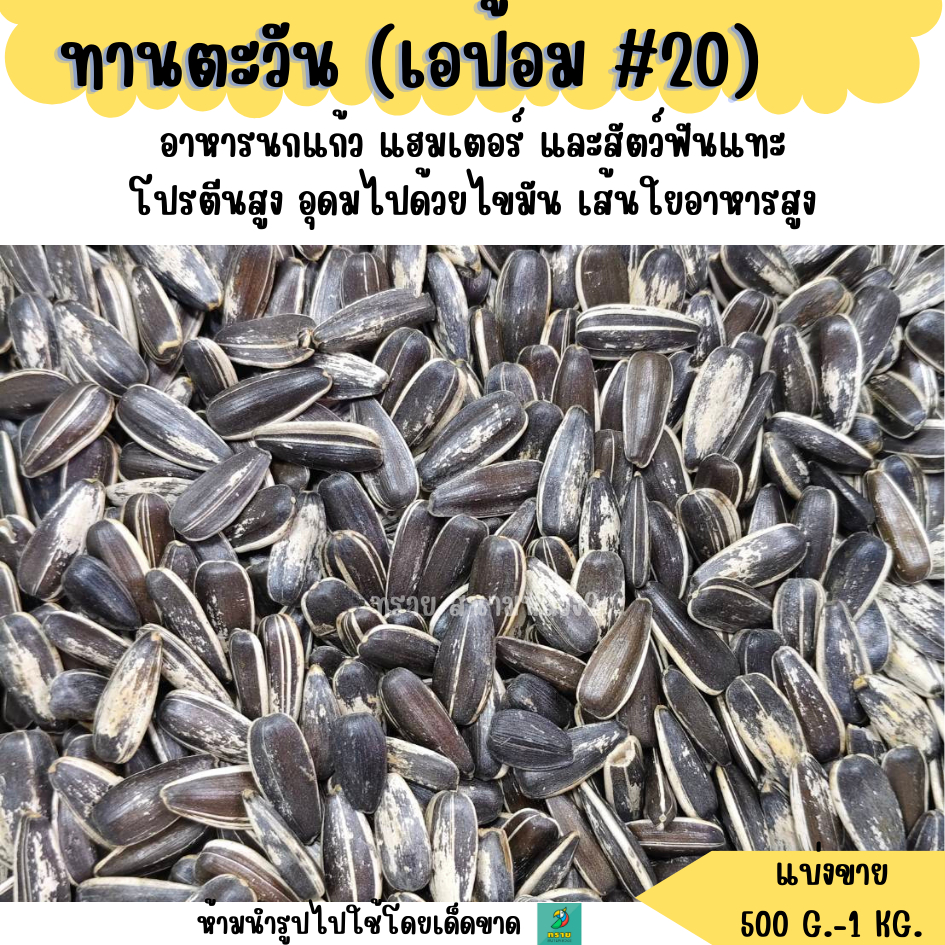 #20 ทานตะวัน เอป้อม เบอร์20 (แบ่งขาย 500G.-1KG.) อาหารนกแก้ว อาหารแฮมเตอร์ และสัตว์ฟันแทะ