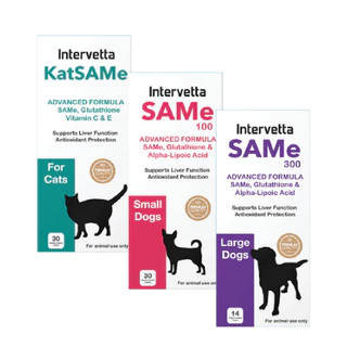 ถูกที่สุด! KatSaMe Intervetta อาหารเสริมบำรุงตับ สำหรับแมว