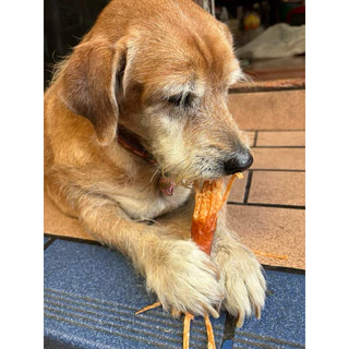 Dear Buddy ไก่พันทาโร่ 200 และ 400 กรัม ขนมสุนัข สันในไก่อบแห้ง ขนมหมา ของว่างสำหรับสุนัข ขนมน้องหมา
