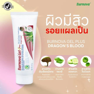 Burnova Gel Plus Dragon’s Blood 20g เบอร์โนว่า เจลลดรอยแผลเป็น รอยดำ รอยสิว ฟื้นฟูผิว