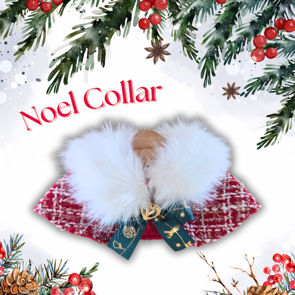 Dogster & Pals: Noel Collar
