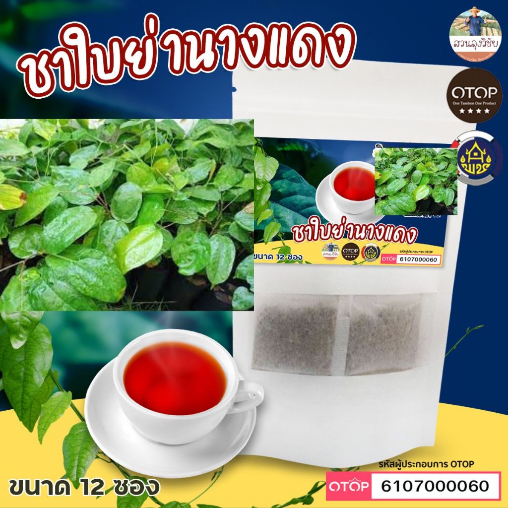 ชาใบย่านางแดง สินค้าดี OTOP ขนาด 12 ซองชา