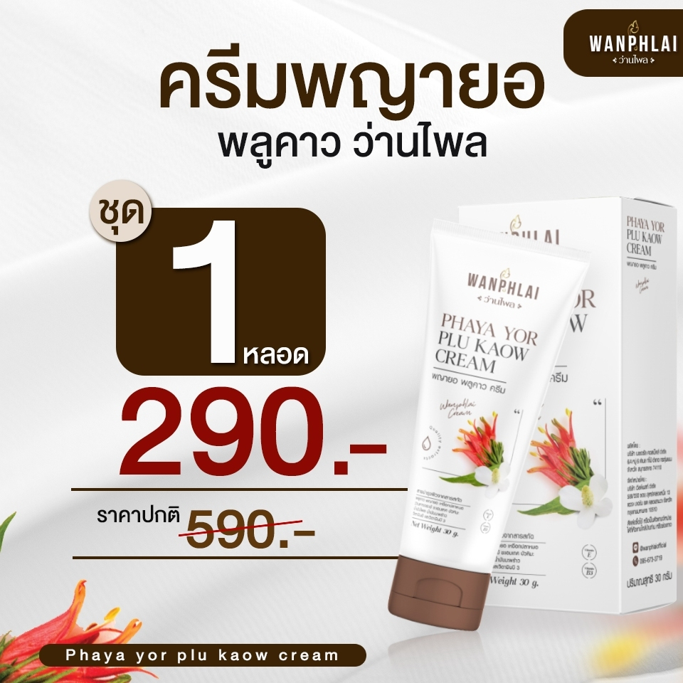 ของแท้ ส่งไว ครีมพญายอพลูคาว สมุนไพรแท้100% ส่งจากบริษัทโดยตรง ครีมพญายอ พลูคาว  (1 หลอด)