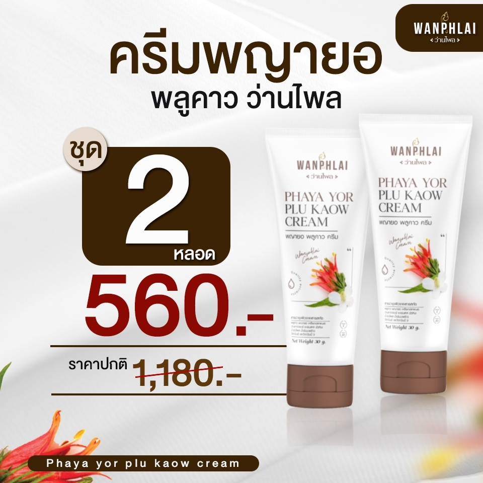 ของแท้ ส่งไว ครีมพญายอพลูคาว สมุนไพรแท้100% ส่งจากบริษัทโดยตรง (2 หลอด)