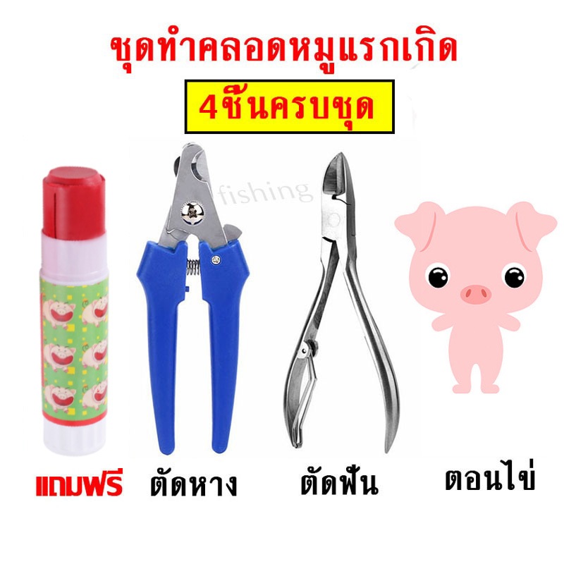 ชุดอุปกรณ์เลี้ยงหมู กรรไกรตัดฟันหมู กรรไกรตัดหางหมู มีดตอนหมู ดินสอสีสำหรับทำเครื่องหมายหมู ลูกหมู