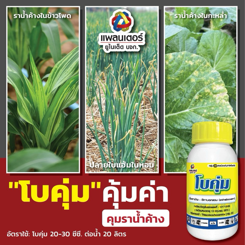 อีทาบ็อกแซม สารป้องกันกำจัดเชื้อราทุกชนิด ไฟท็อปเทอร่า ใบจุด ใบติด ราน้ำค้าง // โบคุ่ม แพลนเตอร์