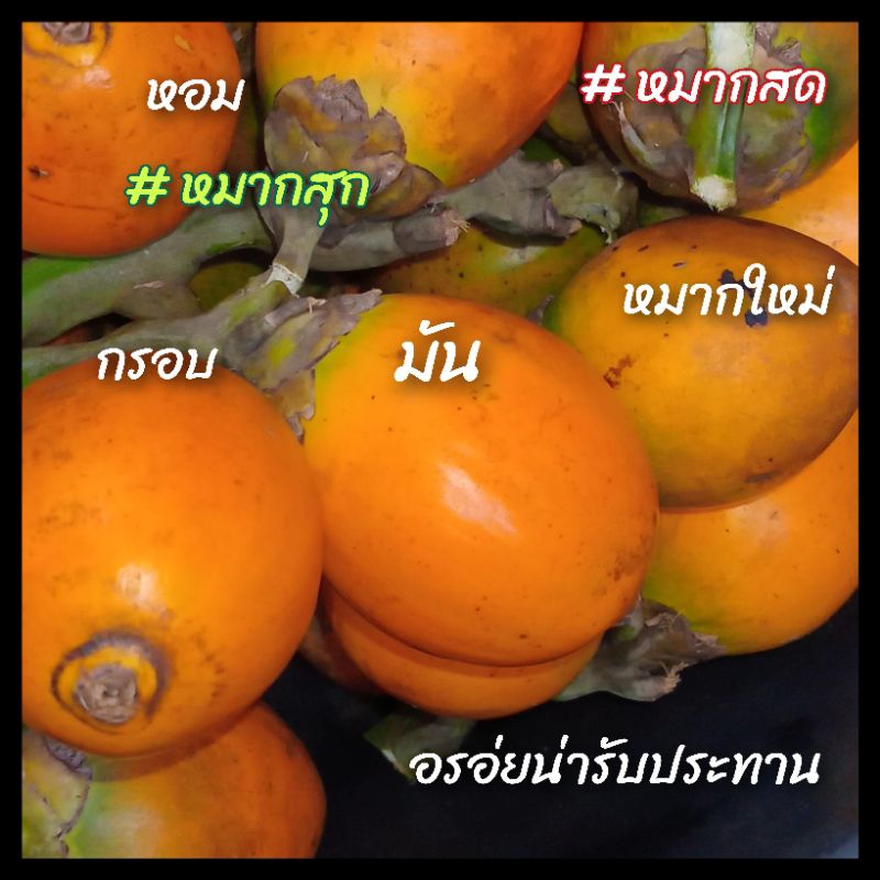 #หมากสุก ตัดสดจากต้น ไม่ใช่หมากรว่ง ไม่ใช่หมากหล่น รับประกันไม่มีหนอน หอม กรอบ เคี้ยวมัน เคี้ยวเพลิน อรอ่ยน่ารับประทาน