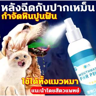 ดับกลิ่นปากหมา น้ำยาดับกลิ่นปากสุนัข สเปรย์ดับกลิ่นปากสุนัข …
