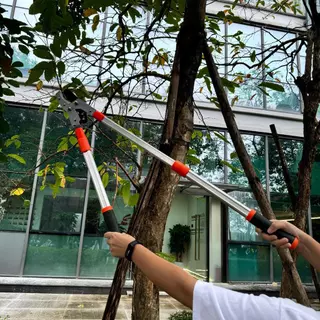 SK5 กรรไกรตัดกิ่งไม้ ยืดหดได้ ด้ามยาว ตัดกิ่งไม้สูง Cutting Branches pruning shears กรรไกรแต่งกิ่ง solo MAYILON กรรไกรตั