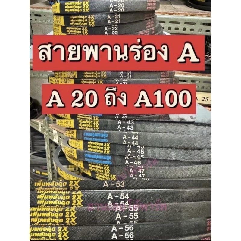 สายพานร่องเอ สายพานรถไถนา สายพานเกษตร ร่องA 20- A100 ตราหมา - ตราดอกจิก