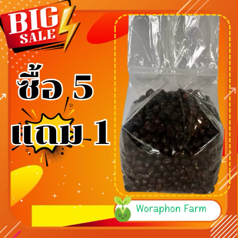 ซื้อ 5 แถมฟรี 1!!! เมล็ดมะขาม 1 กิโลกรัม พันธ์สีชมพู มะขามหวานอมเปรี้ยว สำหรับปลูกทำรั้ว ทานยอดอ่อน