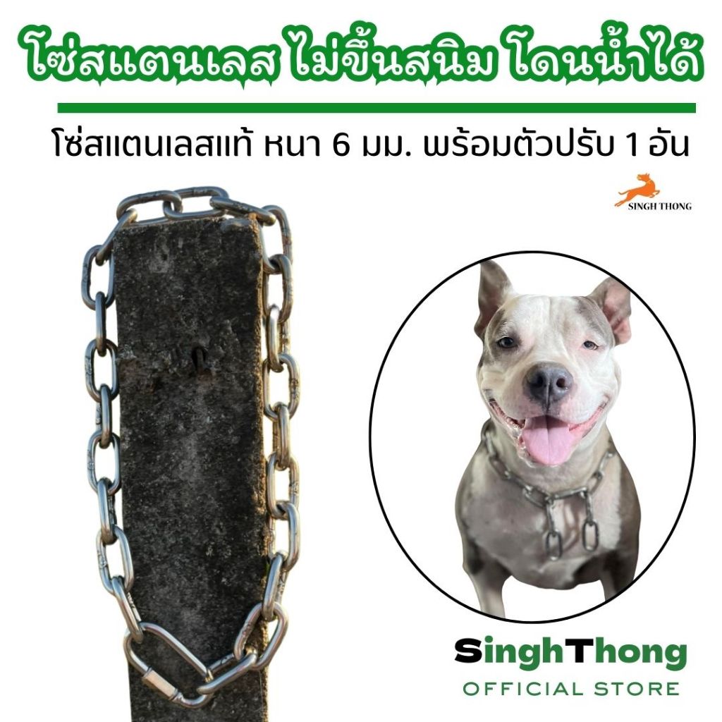 Singh Thong ปลอกคอโซ่ โซ่คอสแตนเลส ปลอกคอสุนัขทนๆ ปลอกคอสุนัขโต หนา 6 มม. สำหรับสุนัขขนาดใหญ่