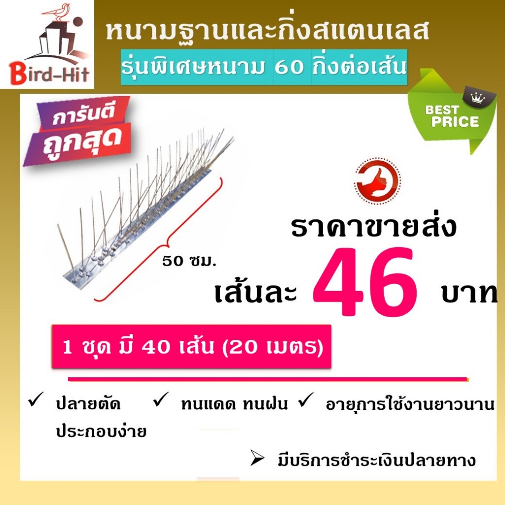 หนามกันนก​ หนามไล่นก​ ฐานและกิ่งสแตนเลส รุ่นพิเศษ 60 กิ่งต่อเส้น จำนวน​ 40 เส้น (20 เมตร)