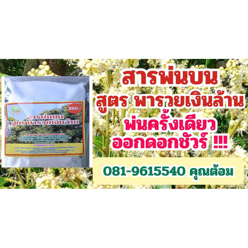 สารลำไย สูตรพารวยเงินล้าน