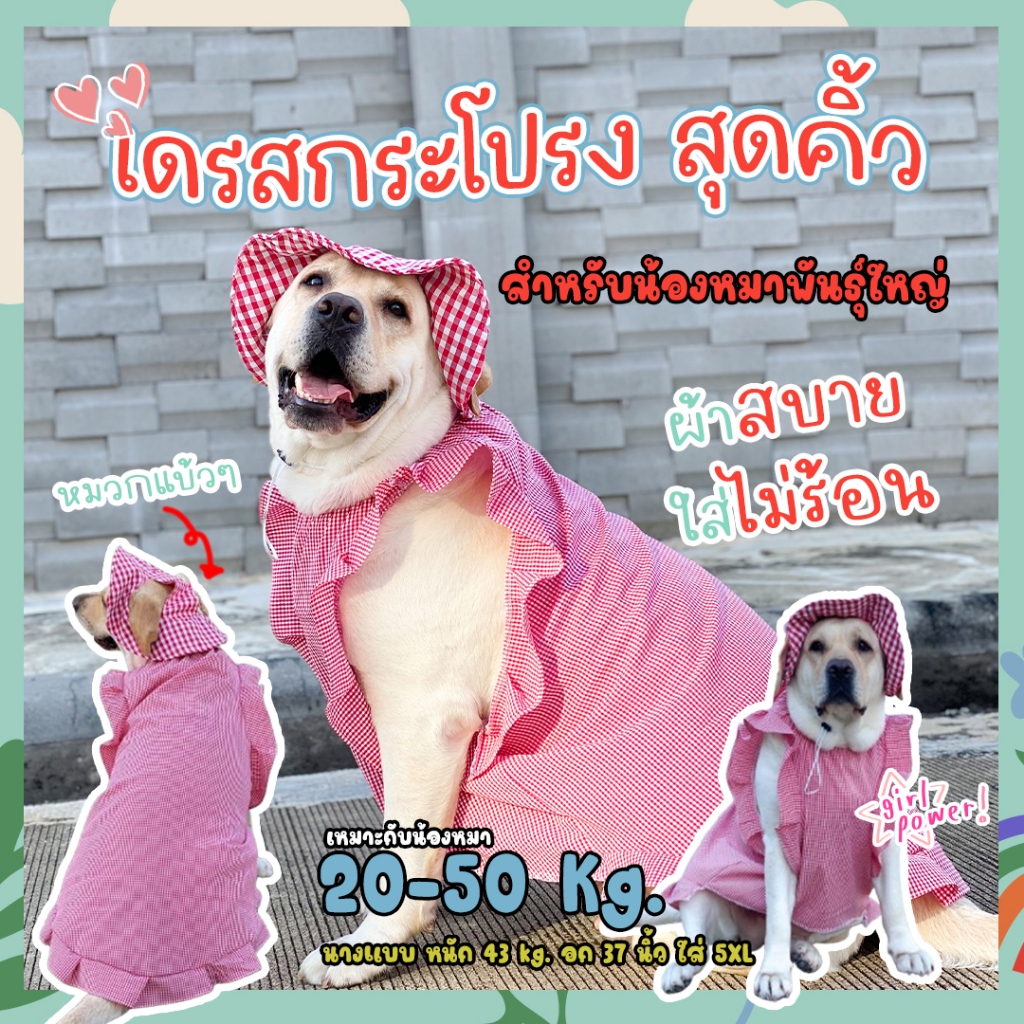 Preorder 3Xl พร้อมส่ง เสื้อผ้าสัตว์เลี้ยง หมวกหมาใหญ่ เดรสแขนกุดชายระบาย ชุดหมาขนาดใหญ่ สุนัขตัวใหญ่ ผ้าเย็นสบาย