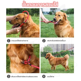 QQPET สายจูงสุนัข พี.เชน สายจูงหมาใหญ่ ป้องกันไม่ให้สุนัขชนและทำร้ายผู้คน สามารถให้พลังปราบปรามแก่สุนัขได้
