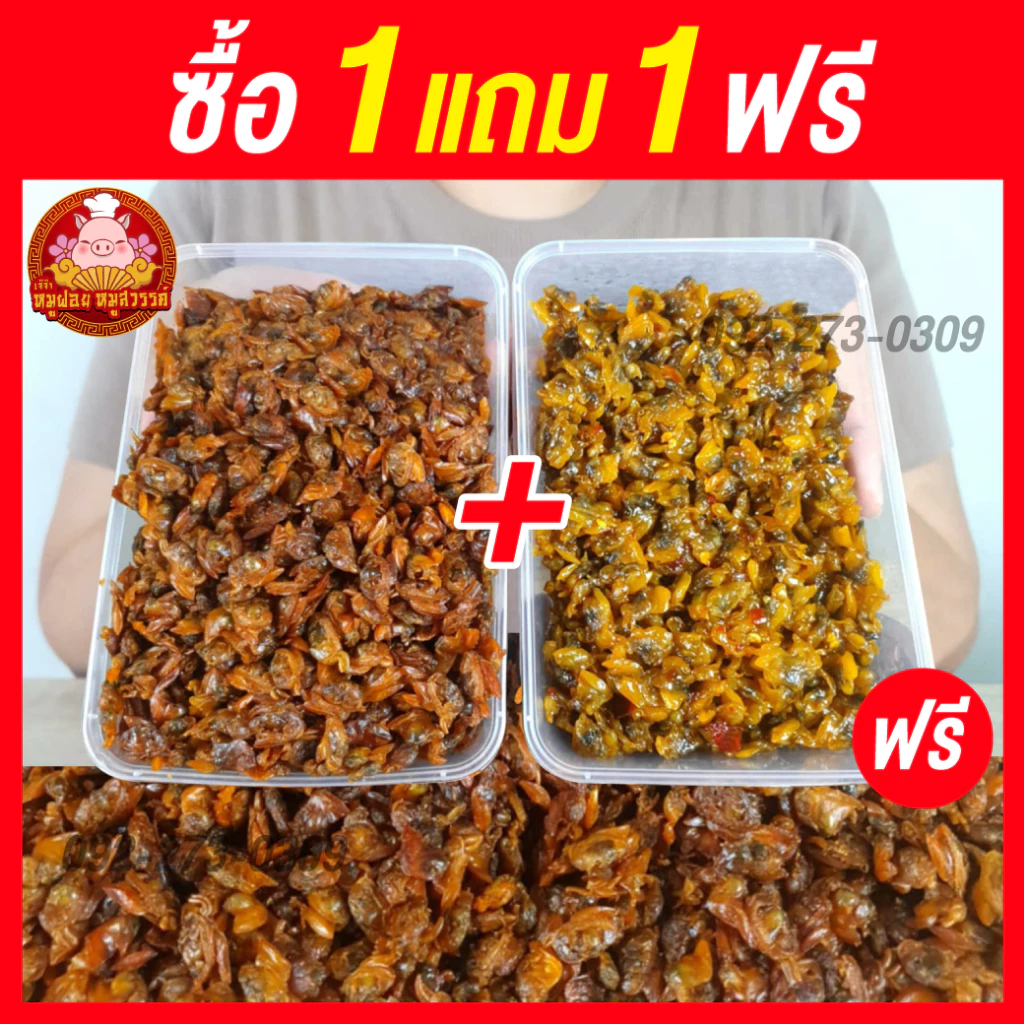[ฟรี 1แถม1] 🦪 หอยลายสามรส หอยลาย 🦪 ราคาถูกกว่าแบบกระป๋องในเซเว่น!! สด อร่อย หวาน มัน จากทะเลไทยมหาชัย
