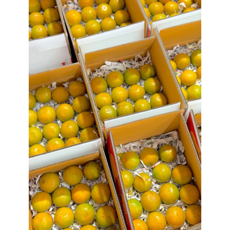 รูปภาพ 5