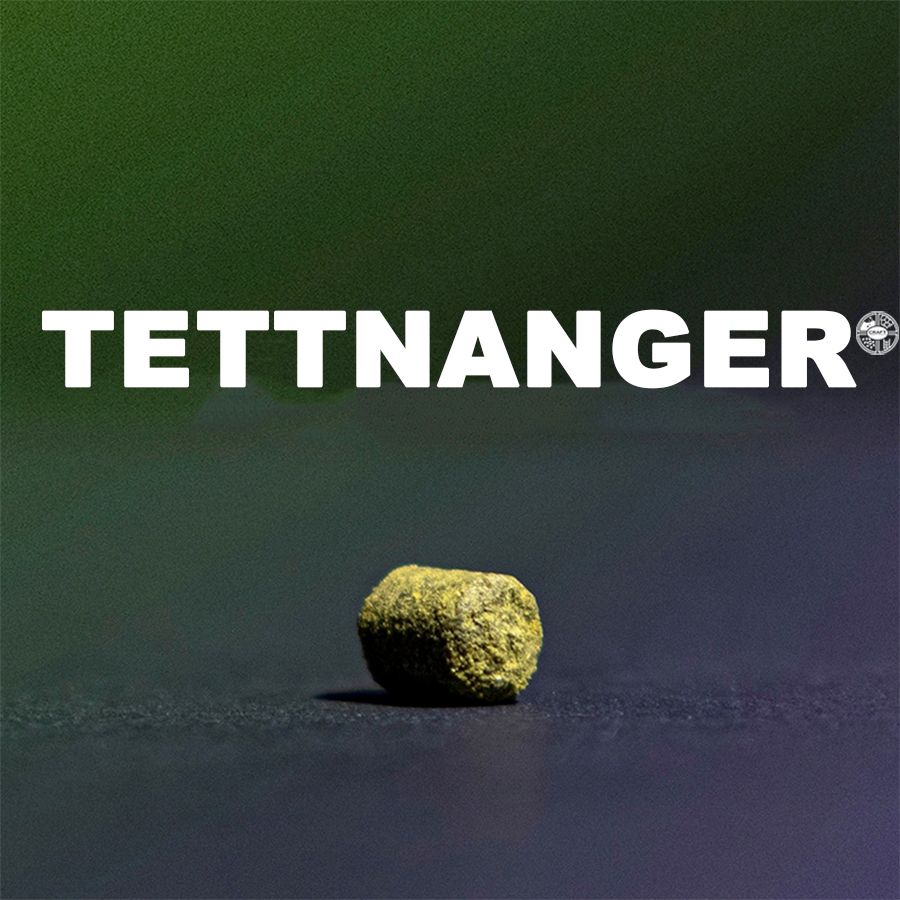ฮอป ทำเบียร์ Tettnanger Hops T90 แบรนด์ Haas (57g. , 28g.)