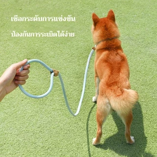 สายจูงสุนัข 🐶 สำหรับพันธุ์กลาง-ใหญ่ 🌈 มีหลายสี หลายไซส์ สายจูงหมา จูงสัตว์เลี้ยง ดีไซน์สวยมาก ✨