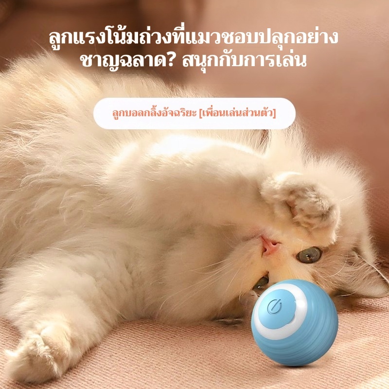 ⚡ ลูกบอลอัจฉริยะกลิ้งเองได้! 🐾 ของเล่นแมว/สุนัข สุดล้ำ 🐕‍🦺🐱 เพิ่มความสนุก กระตุ้นการเคลื่อนไหว! ✨