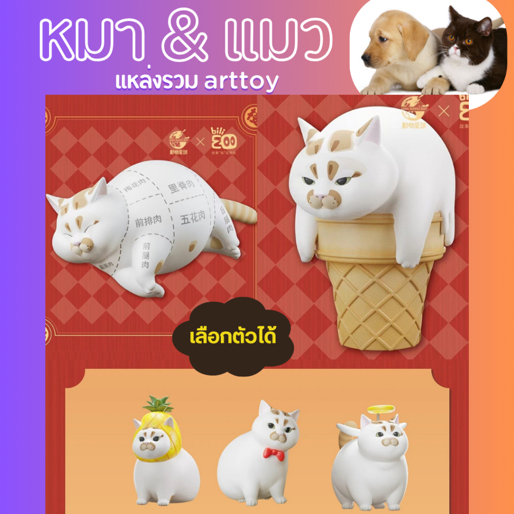 [ยกboxใช้โค้ด150฿ แมวอ้วน v.1 ลิขสิทธิ์แท้ ของขวัญ โมเดล ของเล่น Lou Lou Xiao Zhu Mi แมวไอติม bilizoo ทาสแมว แมว