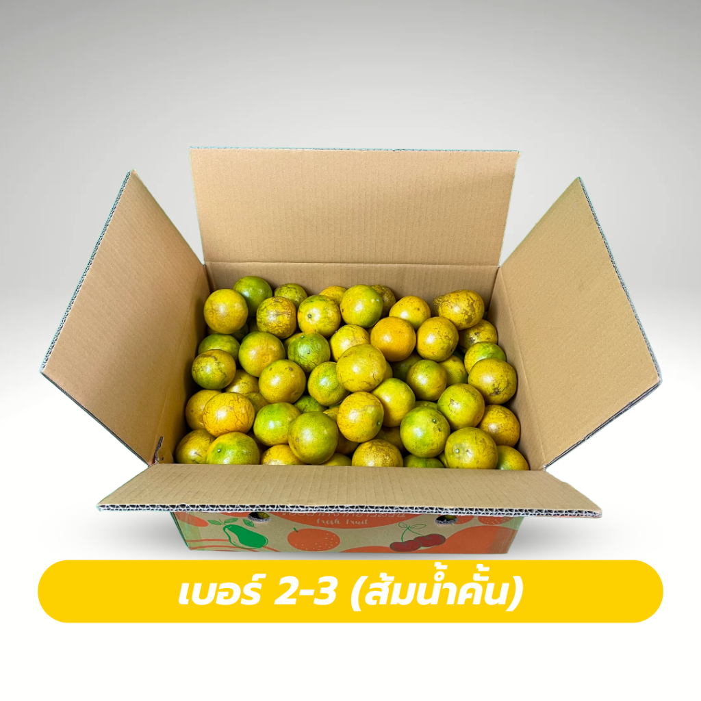 รูปภาพ 6