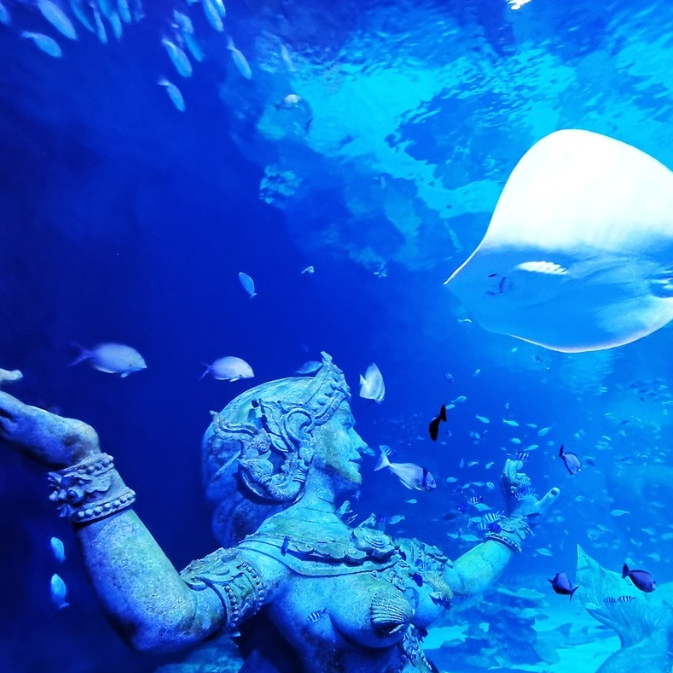 Ticket Voucher Aquaria Phuket