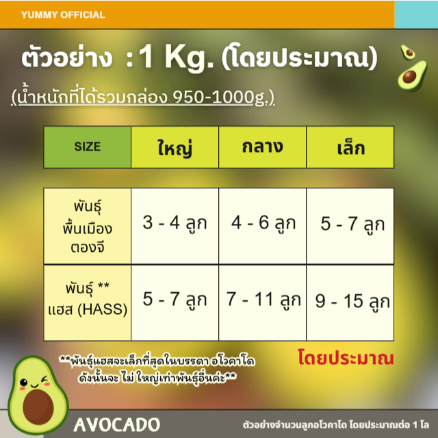 รูปภาพ 3