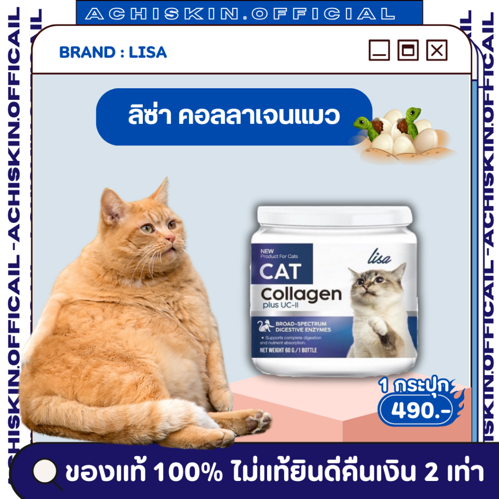 [ของแท้ 1,000%] 🐱 ลิซ่า คอลลาเจนแมว Lisa Collagen - ผงไข่เต่า บำรุงขน ลดขนร่วง บำรุงกระดูก อยากอาหาร
