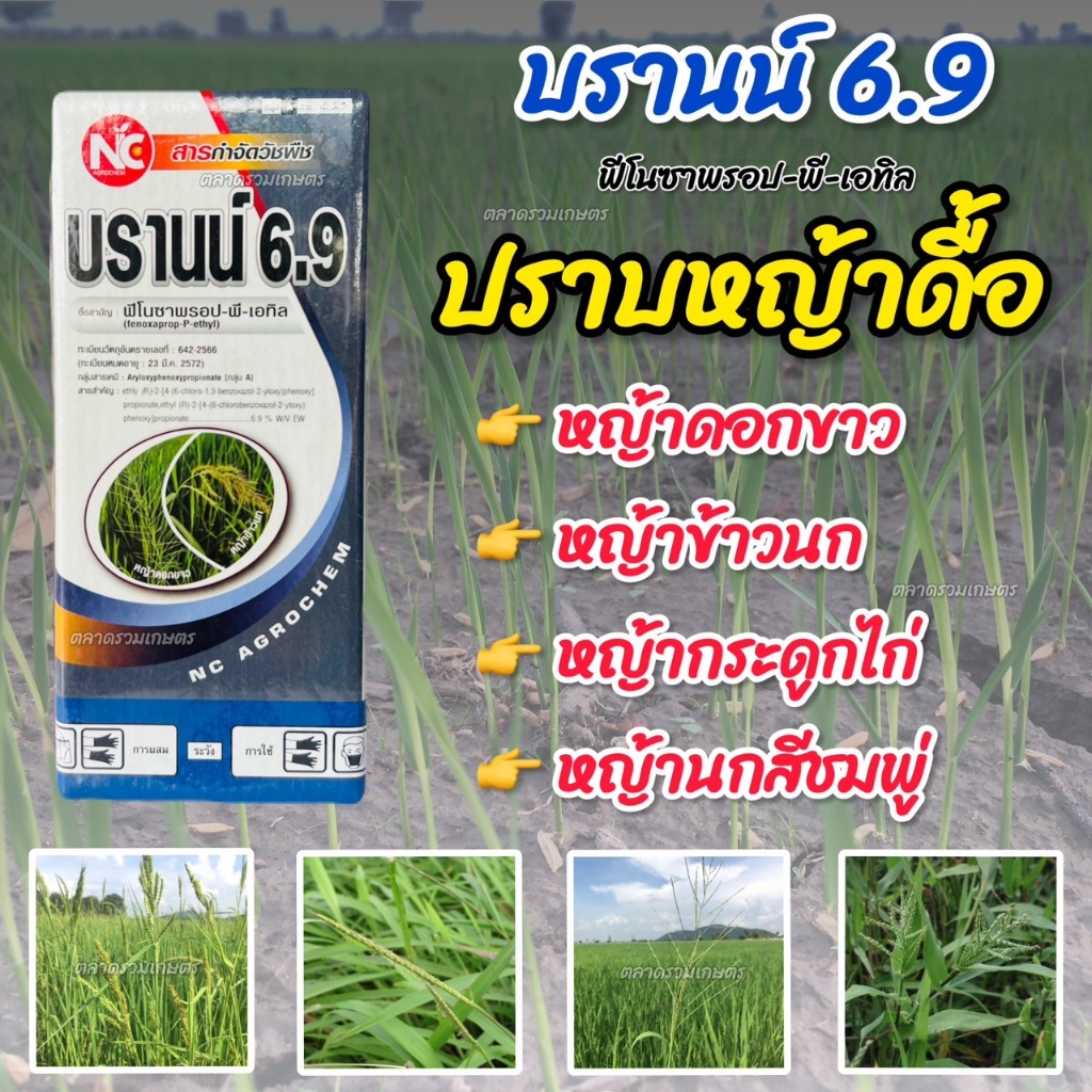 ยาฆ่าหญ้าในนาข้าว  ฟีโนซาพรอป-พี-เอทิล บรานน์ 6.9  (ข้าวไม่แดง ไม่โทรม) ยาเก็บหญ้าในนาข้าว หญ้าดอกขาว หญ้าข้าวนก หญ้าแดง